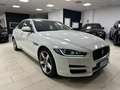 Jaguar XE 2.0d Prestige 180 cv Uff. Italiana Bianco - thumbnail 3