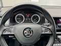 Skoda Kodiaq 2,0 TDI SCR 4x4 Sportline DSG Grau - thumbnail 9