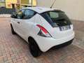 Lancia Ypsilon 1.2 Elefantino Blu s&s 69cv my19 - thumbnail 3
