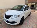 Lancia Ypsilon 1.2 Elefantino Blu s&s 69cv my19 - thumbnail 2