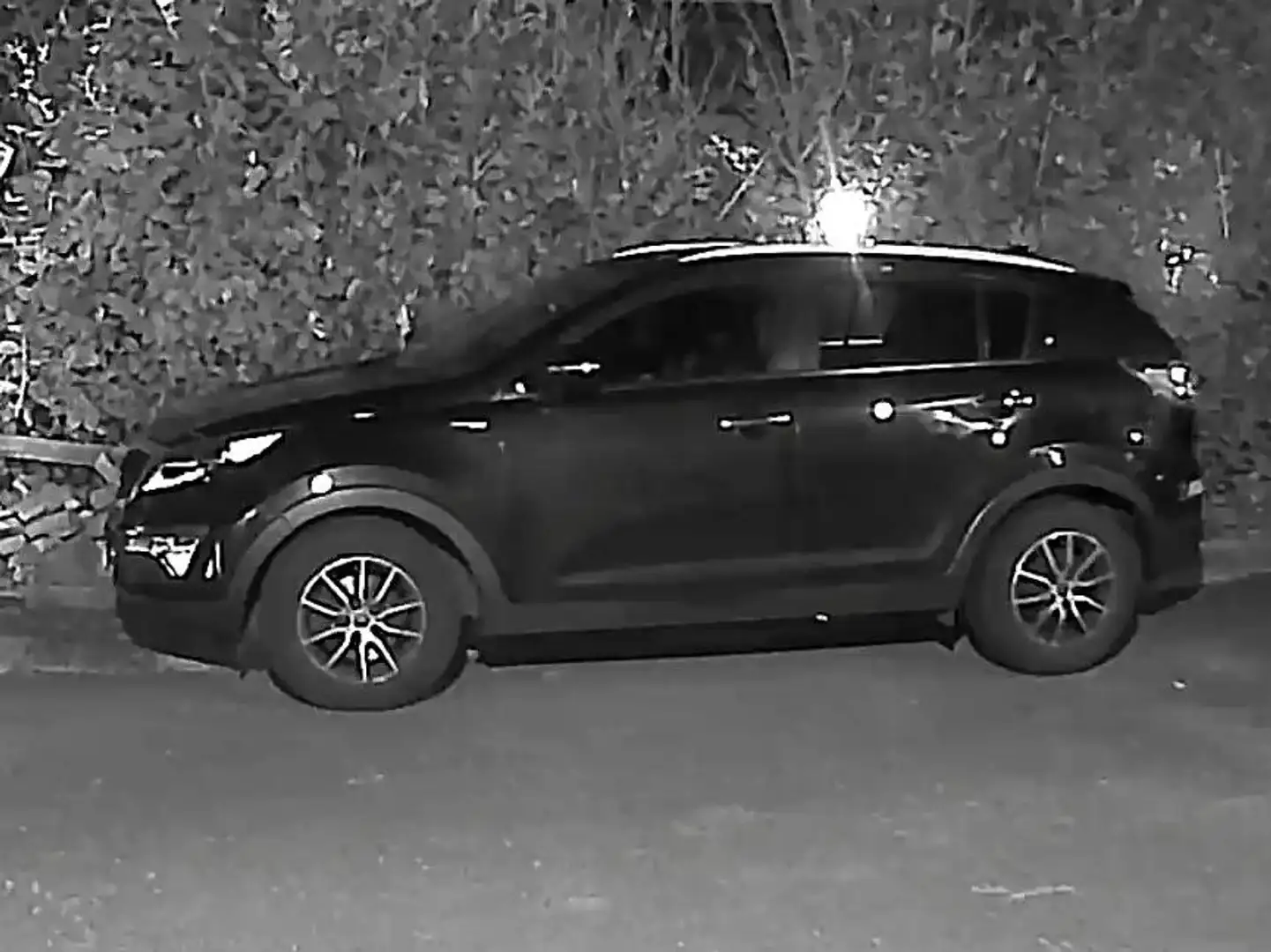 Kia Sportage 2.0 CRDi 184 AWD Aut. Platinum Edition Schwarz - 1