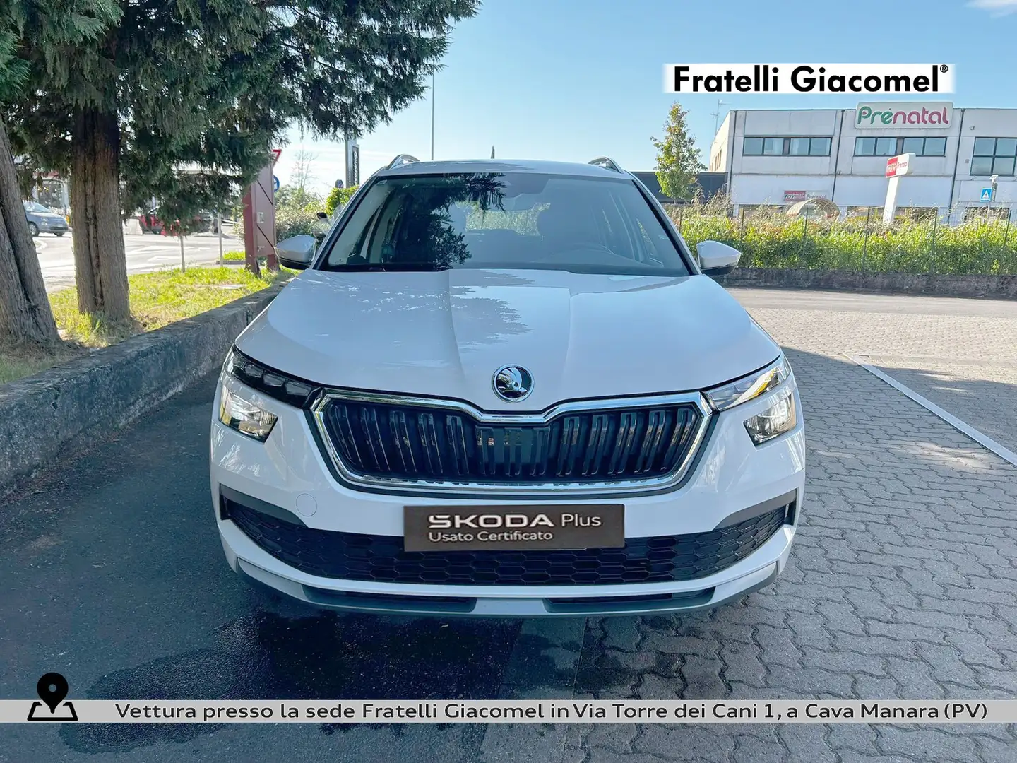 Skoda Kamiq 1.0 tsi style 95cv Weiß - 2