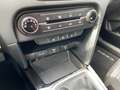 Kia Ceed / cee'd Vision 1.0 EU6d-T Kamera CarPlay SitzHzg. Bianco - thumbnail 15