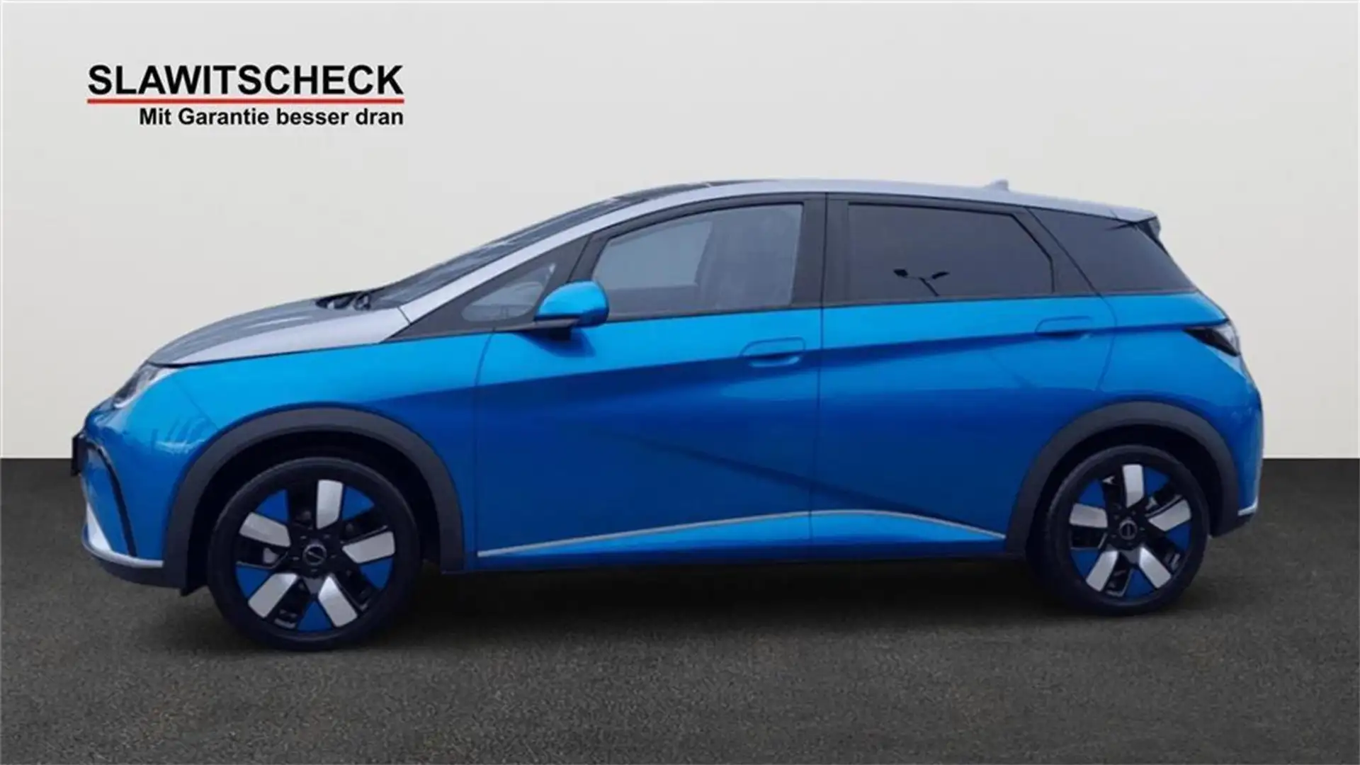 BYD Dolphin Design Modrá - 2
