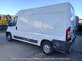 Fiat Ducato 30 2.2 MJT PM-TM Furgone Bianco - thumbnail 2