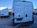 Fiat Ducato 30 2.2 MJT PM-TM Furgone Bianco - thumbnail 3