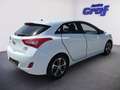 Hyundai i30 1,4 CVVT Start/Stopp Go Weiß - thumbnail 4