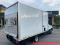 Iveco Daily 35C15 3.0D CAB ONNICAR PALFINGER Bianco - thumbnail 7