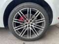 Porsche Macan Macan Turbo DSG*Approved*Erstbesitz*Vollausstatt.* Weiß - thumbnail 9