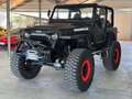 Jeep Wrangler Wrangler Tj 4.0 - OMOLOGATO Negro - thumbnail 2