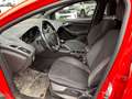 Ford Focus Turnier 1.0 EcoBoost ST-Line *Händlerfzg.* Rot - thumbnail 11