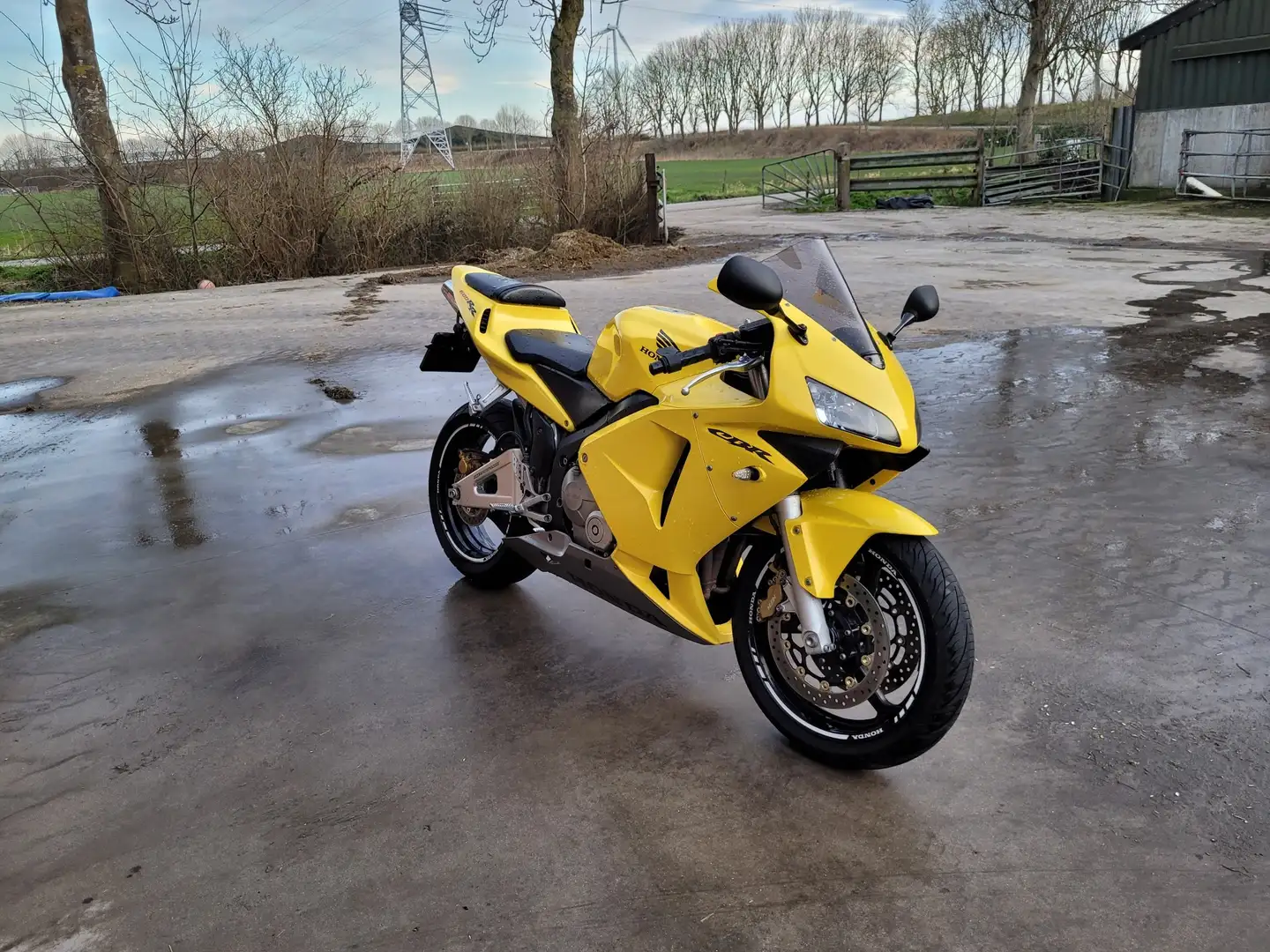 Honda CBR 600 Gelb - 2