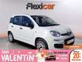 Fiat Panda Hybrid 1.0 Gse 51kw (70CV) Blanc - thumbnail 1