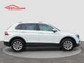 Volkswagen Tiguan 2.0 TDI SCR DSG Business BlueMotion Technology Blanc - thumbnail 3