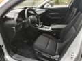 Mazda CX-30 Exclusive inkl Leasing-Bonus Matrix BOSE 360° Klim Blanco - thumbnail 6
