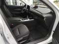 Mazda CX-30 Exclusive inkl Leasing-Bonus Matrix BOSE 360° Klim Blanco - thumbnail 19