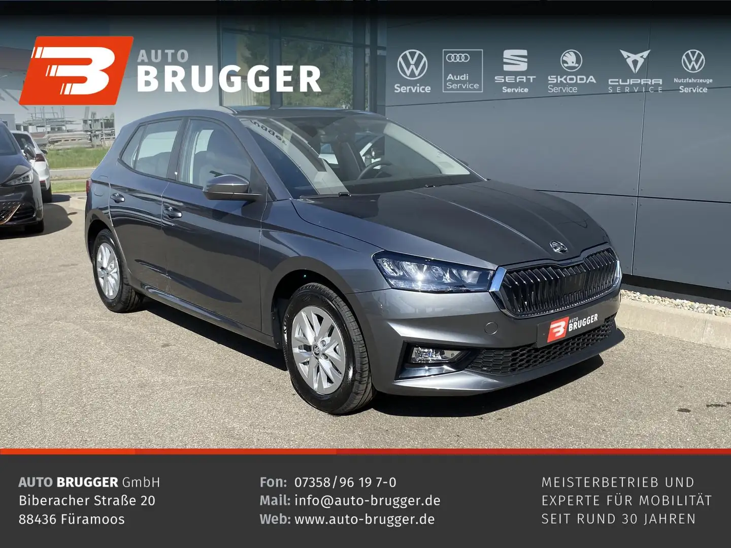 Skoda Fabia 1.0 TSI Selection Kamera Tempomat PDC SHZg Grau - 1