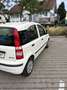 Fiat Panda 1.2 Active - thumbnail 4