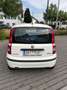 Fiat Panda 1.2 Active - thumbnail 2