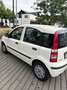 Fiat Panda 1.2 Active - thumbnail 3
