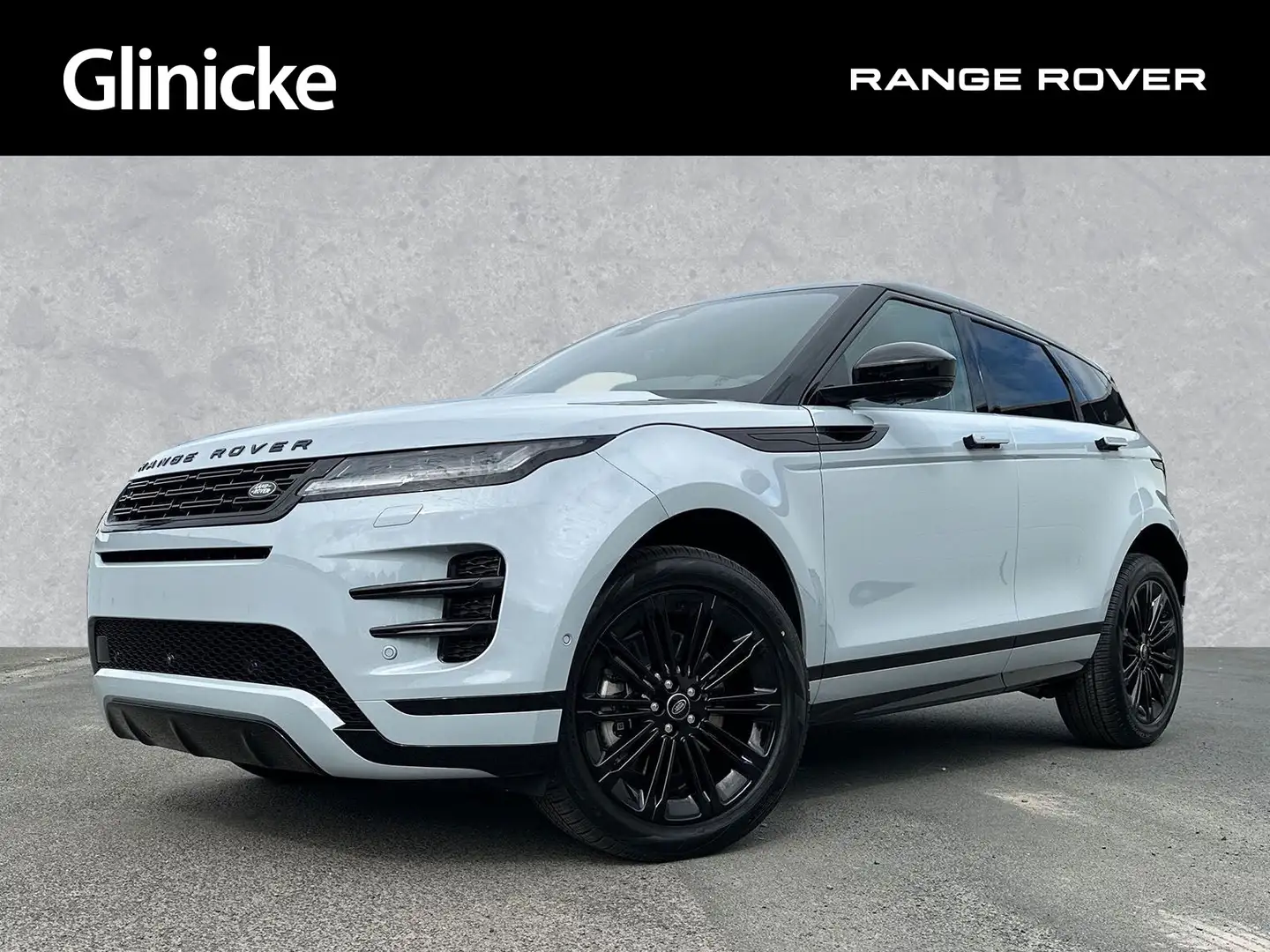 Land Rover Range Rover Evoque D200 Dynamic SE Head-Up-Displ Grau - 1