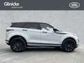 Land Rover Range Rover Evoque D200 Dynamic SE Head-Up-Displ Grau - thumbnail 6
