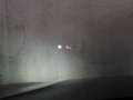 BMW X1 xDrive25i High Executive | Pano | Trekhaak | Leder Gris - thumbnail 26