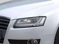 Audi A5 2.0 S Line~2.Hand~Soundsystem Plateado - thumbnail 7