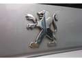 Peugeot 307 Break 1.6-16V XT | Zo Mee | Leestekst | Read Tekst Gris - thumbnail 14