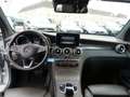 Mercedes-Benz GLC 220 GLC 220 d 4Matic (253.905) Grau - thumbnail 12
