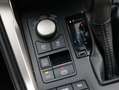 Lexus NX 300h AWD F Sport Line I Leder I Navi I Navi Schwarz - thumbnail 13