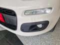 Fiat Panda 0.9 t.air turbo Lounge 85 cv CAMBIO AUTOMATICO Beige - thumbnail 15