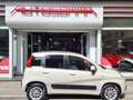 Fiat Panda 0.9 t.air turbo Lounge 85 cv CAMBIO AUTOMATICO Beige - thumbnail 1