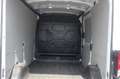 Ford Transit 350 2.0TDCI ECOBLUE MHEV 130CV PM-TM FURGONE TREND - thumbnail 9