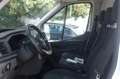 Ford Transit 350 2.0TDCI ECOBLUE MHEV 130CV PM-TM FURGONE TREND - thumbnail 7