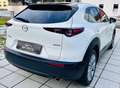 Mazda CX-30 G122 Comfort+/SO/ST/PR/TE Aut. - 1. Besitz Topz... Weiß - thumbnail 13