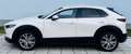 Mazda CX-30 G122 Comfort+/SO/ST/PR/TE Aut. - 1. Besitz Topz... Weiß - thumbnail 3