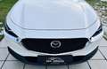 Mazda CX-30 G122 Comfort+/SO/ST/PR/TE Aut. - 1. Besitz Topz... Weiß - thumbnail 18