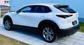 Mazda CX-30 G122 Comfort+/SO/ST/PR/TE Aut. - 1. Besitz Topz... Weiß - thumbnail 34