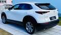 Mazda CX-30 G122 Comfort+/SO/ST/PR/TE Aut. - 1. Besitz Topz... Weiß - thumbnail 35