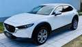Mazda CX-30 G122 Comfort+/SO/ST/PR/TE Aut. - 1. Besitz Topz... Weiß - thumbnail 32