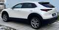 Mazda CX-30 G122 Comfort+/SO/ST/PR/TE Aut. - 1. Besitz Topz... Weiß - thumbnail 20