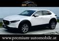 Mazda CX-30 G122 Comfort+/SO/ST/PR/TE Aut. - 1. Besitz Topz... Weiß - thumbnail 1