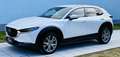 Mazda CX-30 G122 Comfort+/SO/ST/PR/TE Aut. - 1. Besitz Topz... Weiß - thumbnail 33