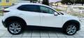Mazda CX-30 G122 Comfort+/SO/ST/PR/TE Aut. - 1. Besitz Topz... Weiß - thumbnail 7