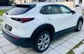 Mazda CX-30 G122 Comfort+/SO/ST/PR/TE Aut. - 1. Besitz Topz... Weiß - thumbnail 23