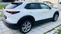 Mazda CX-30 G122 Comfort+/SO/ST/PR/TE Aut. - 1. Besitz Topz... Weiß - thumbnail 14