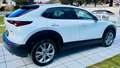 Mazda CX-30 G122 Comfort+/SO/ST/PR/TE Aut. - 1. Besitz Topz... Weiß - thumbnail 3