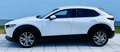 Mazda CX-30 G122 Comfort+/SO/ST/PR/TE Aut. - 1. Besitz Topz... Weiß - thumbnail 5