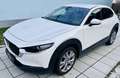 Mazda CX-30 G122 Comfort+/SO/ST/PR/TE Aut. - 1. Besitz Topz... Weiß - thumbnail 6